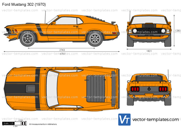 Ford Mustang 302