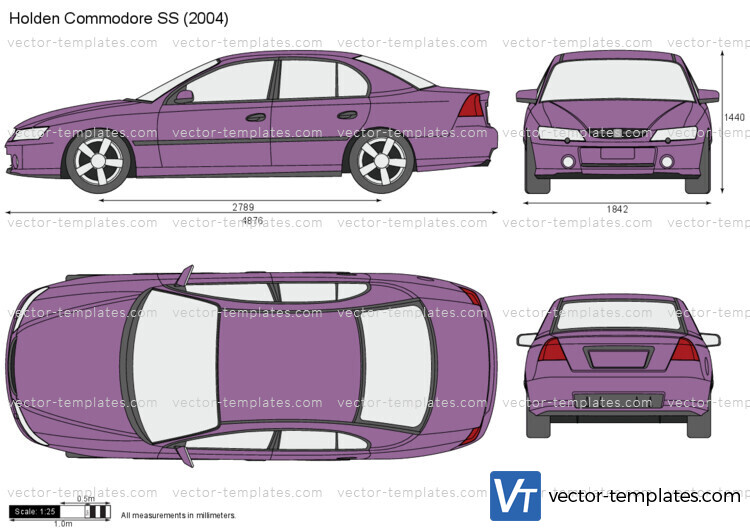 Holden Commodore SS