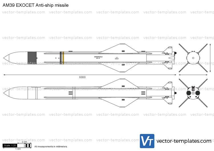 AM39 EXOCET Anti-ship missile