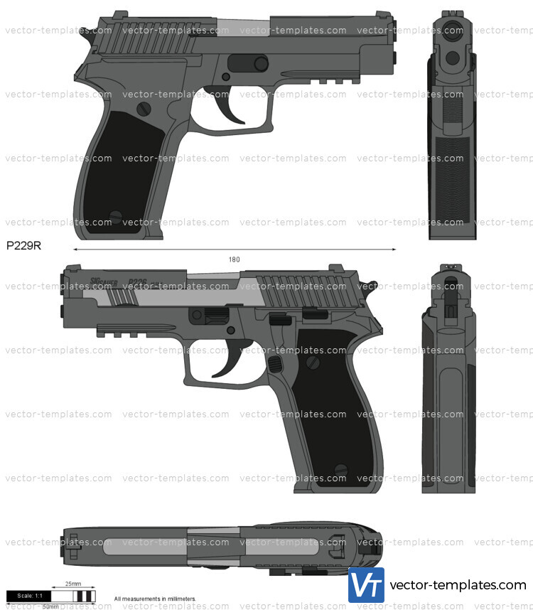 SIG Sauer P229R