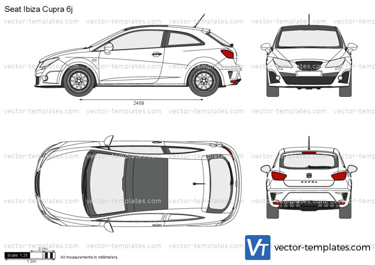 Seat Ibiza Cupra 6j