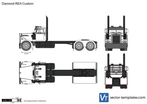 Diamond REA Custom