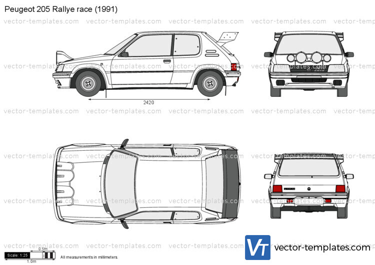 Peugeot 205 Rallye race