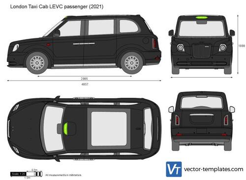 London Taxi Cab LEVC passenger