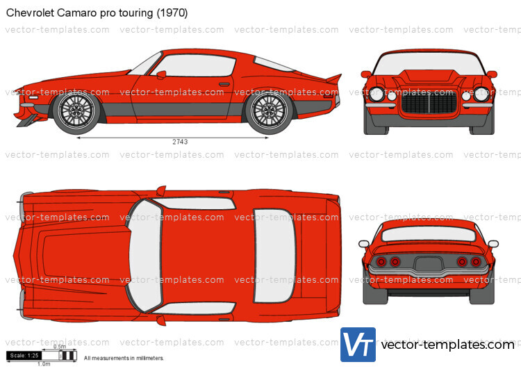 Chevrolet Camaro pro touring