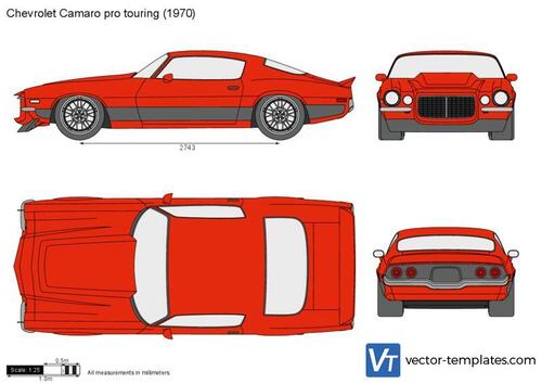 Chevrolet Camaro pro touring