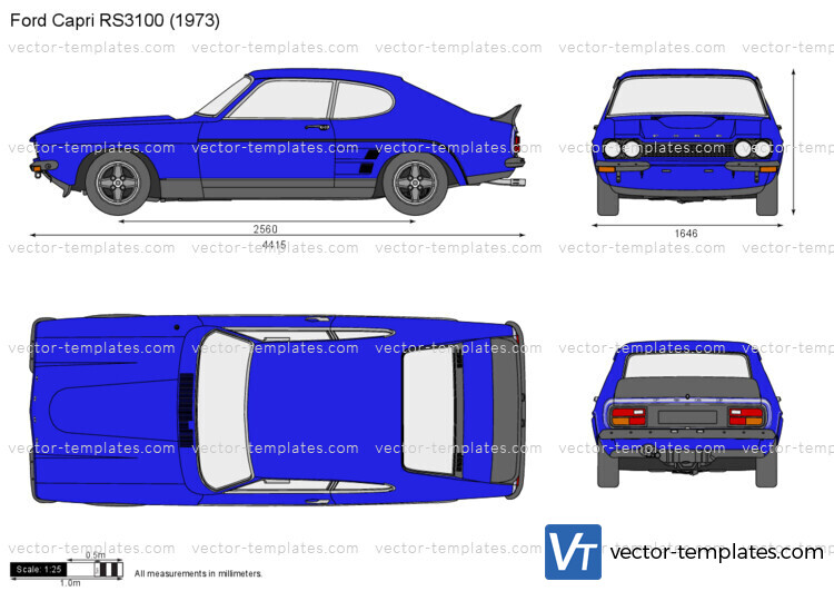 Ford Capri RS3100