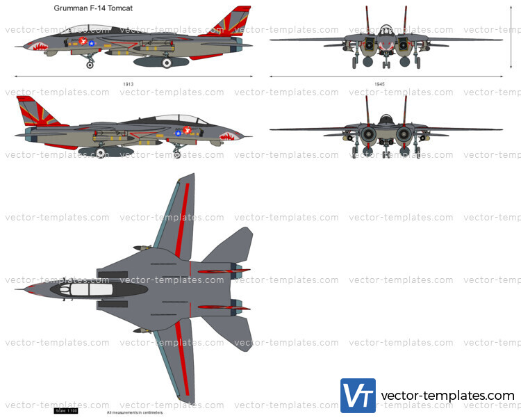 Grumman F-14 Tomcat