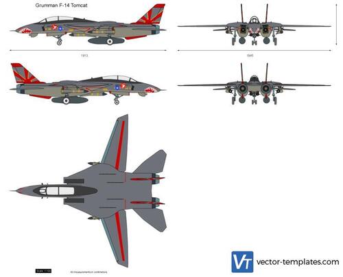 Grumman F-14 Tomcat