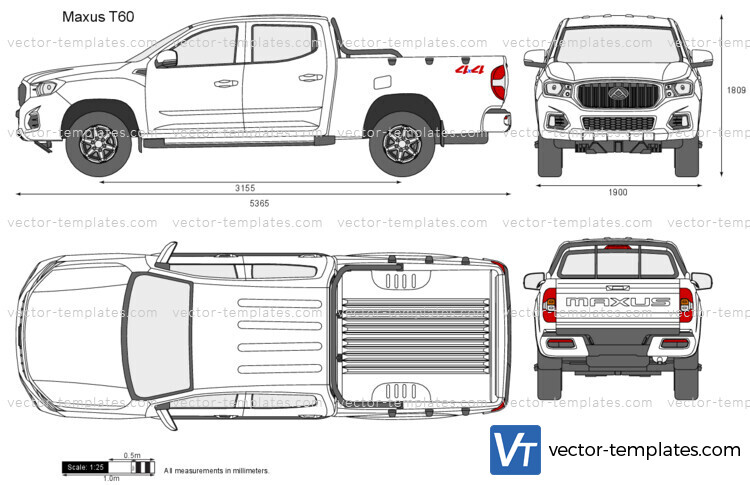 Maxus T60