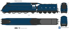 Mallard locomotive