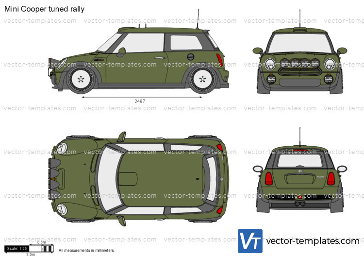 Mini Cooper tuned rally