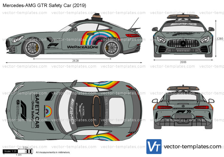 Mercedes-AMG GTR Safety Car