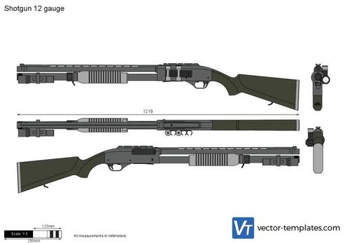 Shotgun 12 gauge