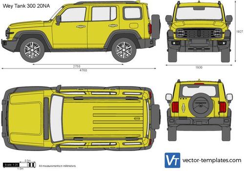 Wey Tank 300 20NA