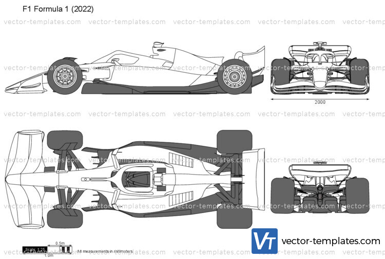 F1 Formula 1