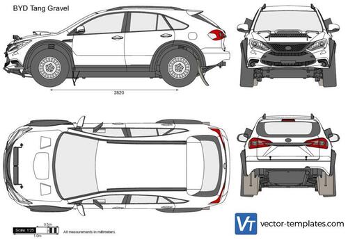 BYD Tang Gravel