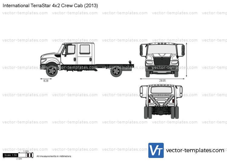 International TerraStar 4x2 Crew Cab