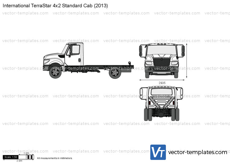 International TerraStar 4x2 Standard Cab