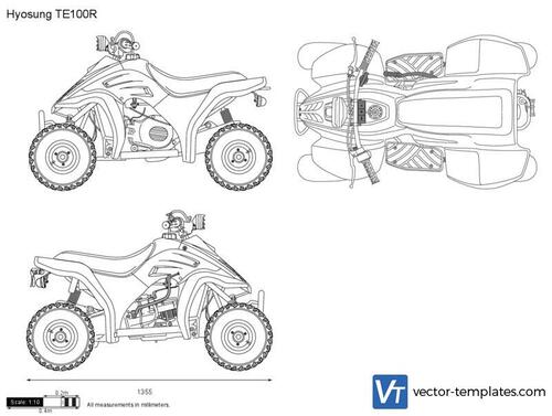 Hyosung TE100R
