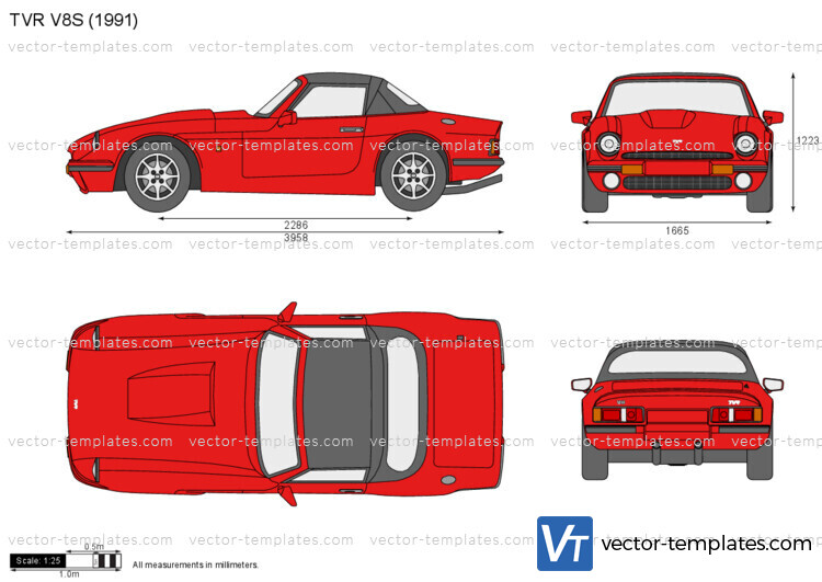 TVR V8S