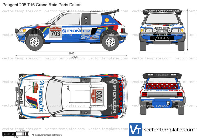 Peugeot 205 T16 Grand Raid Paris Dakar