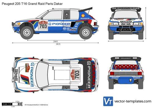 Peugeot 205 T16 Grand Raid Paris Dakar