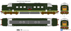 Class 55 BR Green D9009 Alycidon