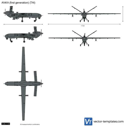 ANKA (first generation) (TAI) UAV Drone