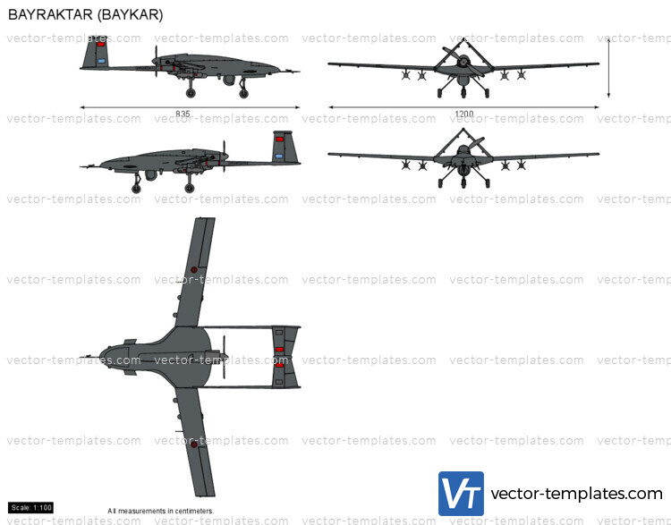 BAYRAKTAR (BAYKAR) UAV Drone