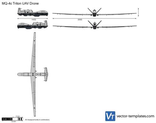 MQ-4c Triton UAV Drone