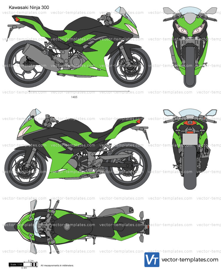 Kawasaki Ninja 300