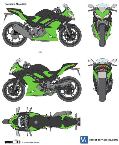 Kawasaki Ninja 300