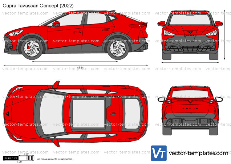 Cupra Tavascan Concept