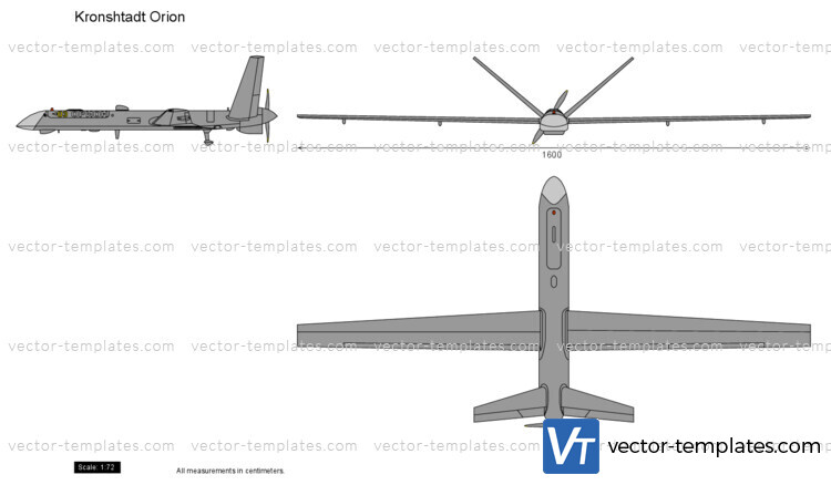 Kronshtadt Orion UAV Drone