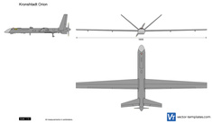 Kronshtadt Orion UAV Drone