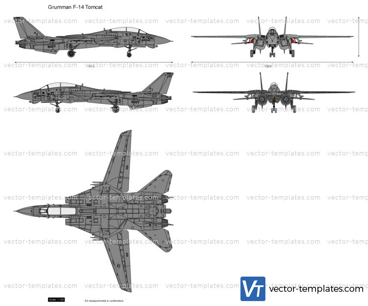 Grumman F-14 Tomcat