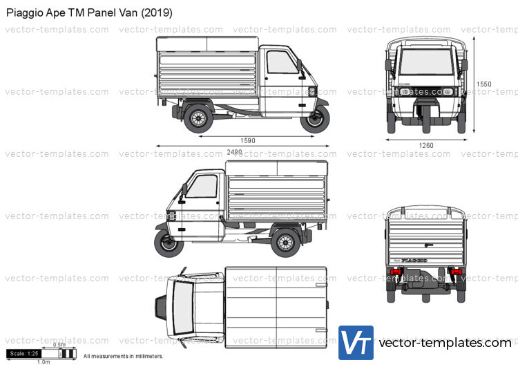 Piaggio Ape TM Panel Van