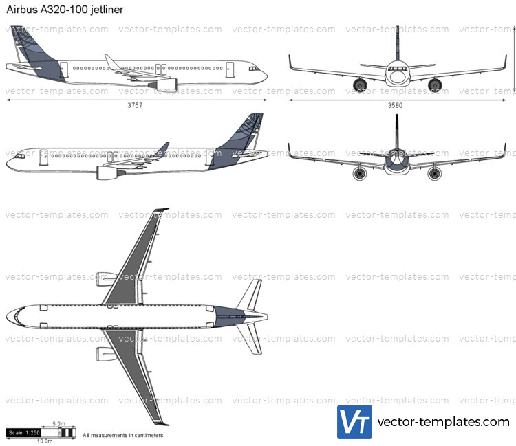 Airbus A320-100 jetliner