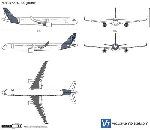 Airbus A320-100 jetliner