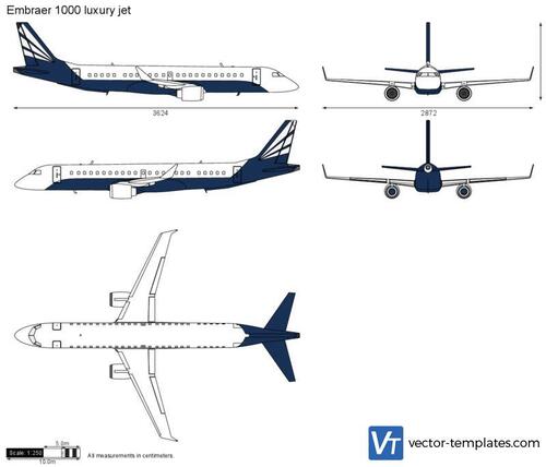 Embraer 1000 luxury jet