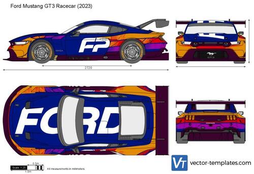 Ford Mustang GT3 Racecar