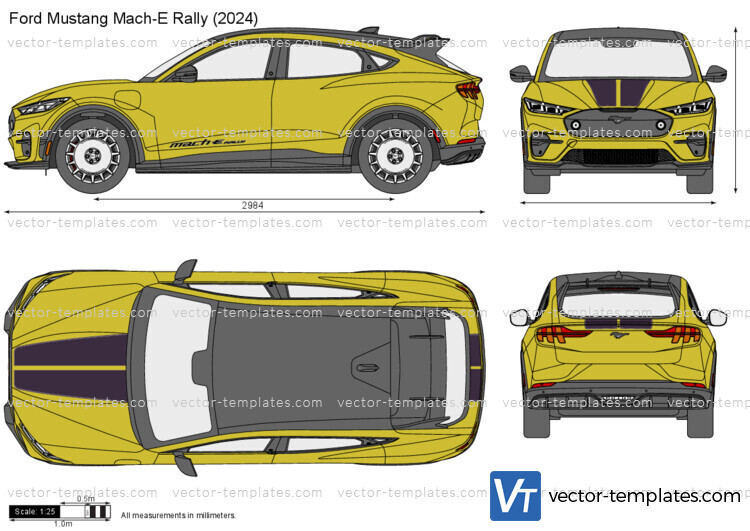 Ford Mustang Mach-E Rally