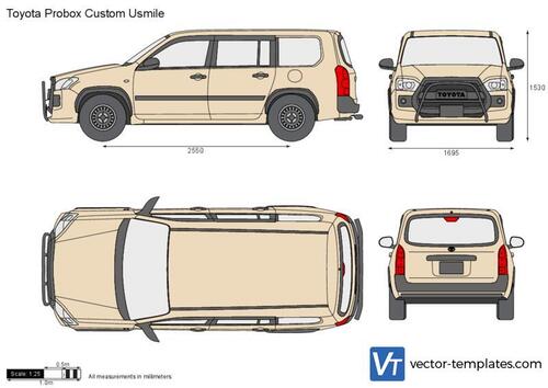 Toyota Probox Custom Usmile