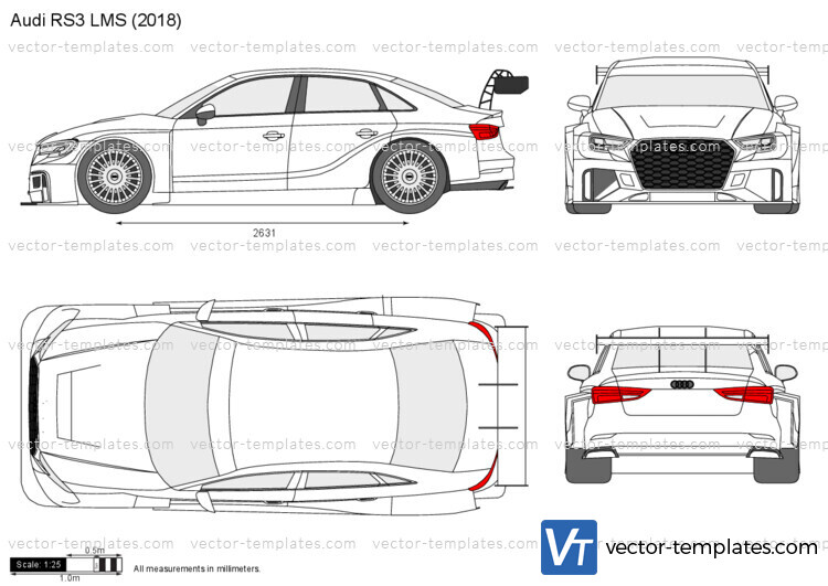 Audi RS3 LMS blank