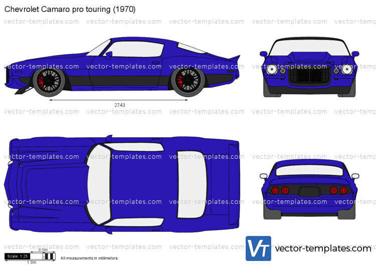 Chevrolet Camaro pro touring