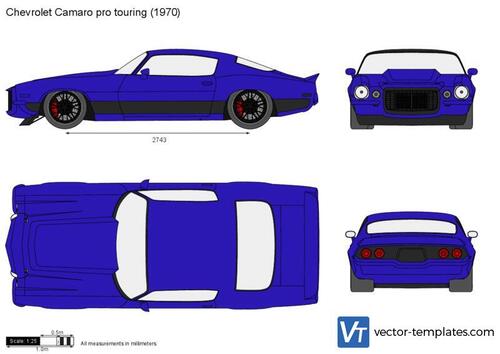 Chevrolet Camaro pro touring