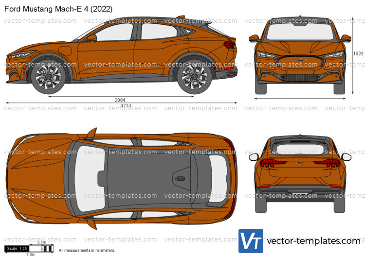 Ford Mustang Mach-E 4