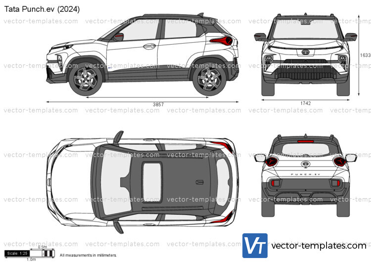 Tata Punch.ev