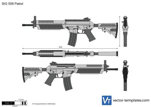 SIG 556 Patrol